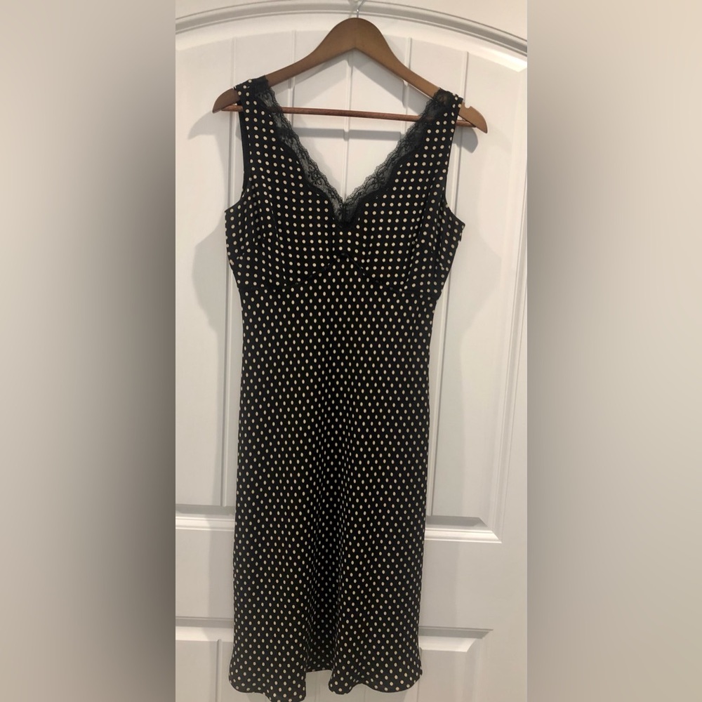 Ann Taylor Loft Silk Dress from a pet & smoke free home